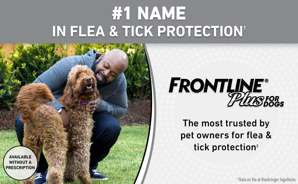 frontline flea walmart