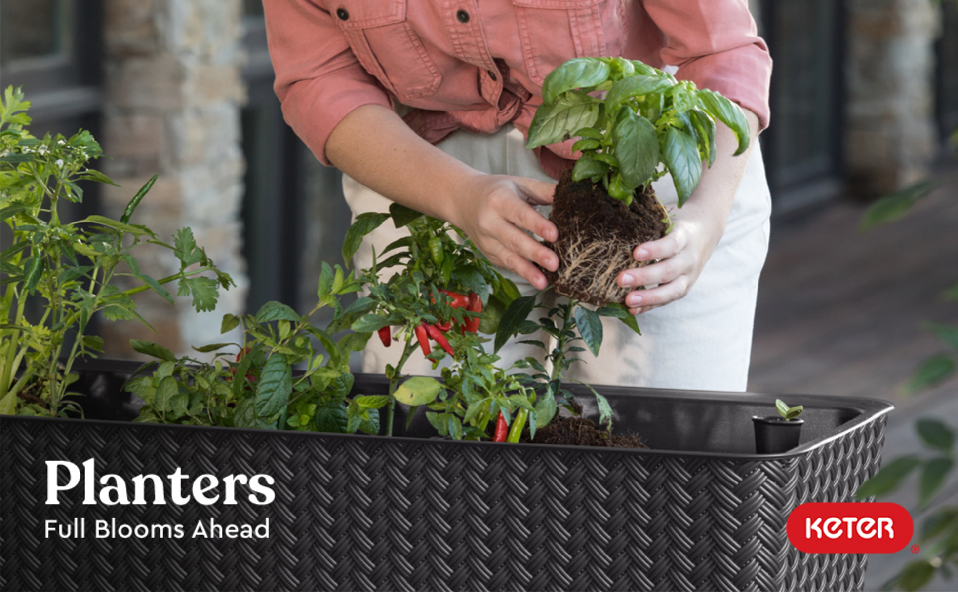 Keter Splendor 29.8 in. H x 44.9 in. W Anthracite Raised