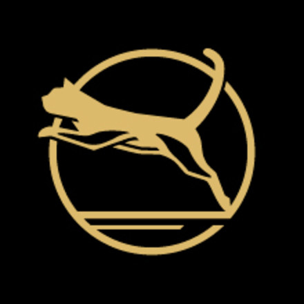 icon of lean, muscular cat leaping
