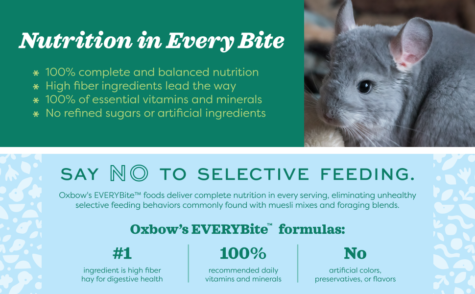 Chinchilla diet outlet list