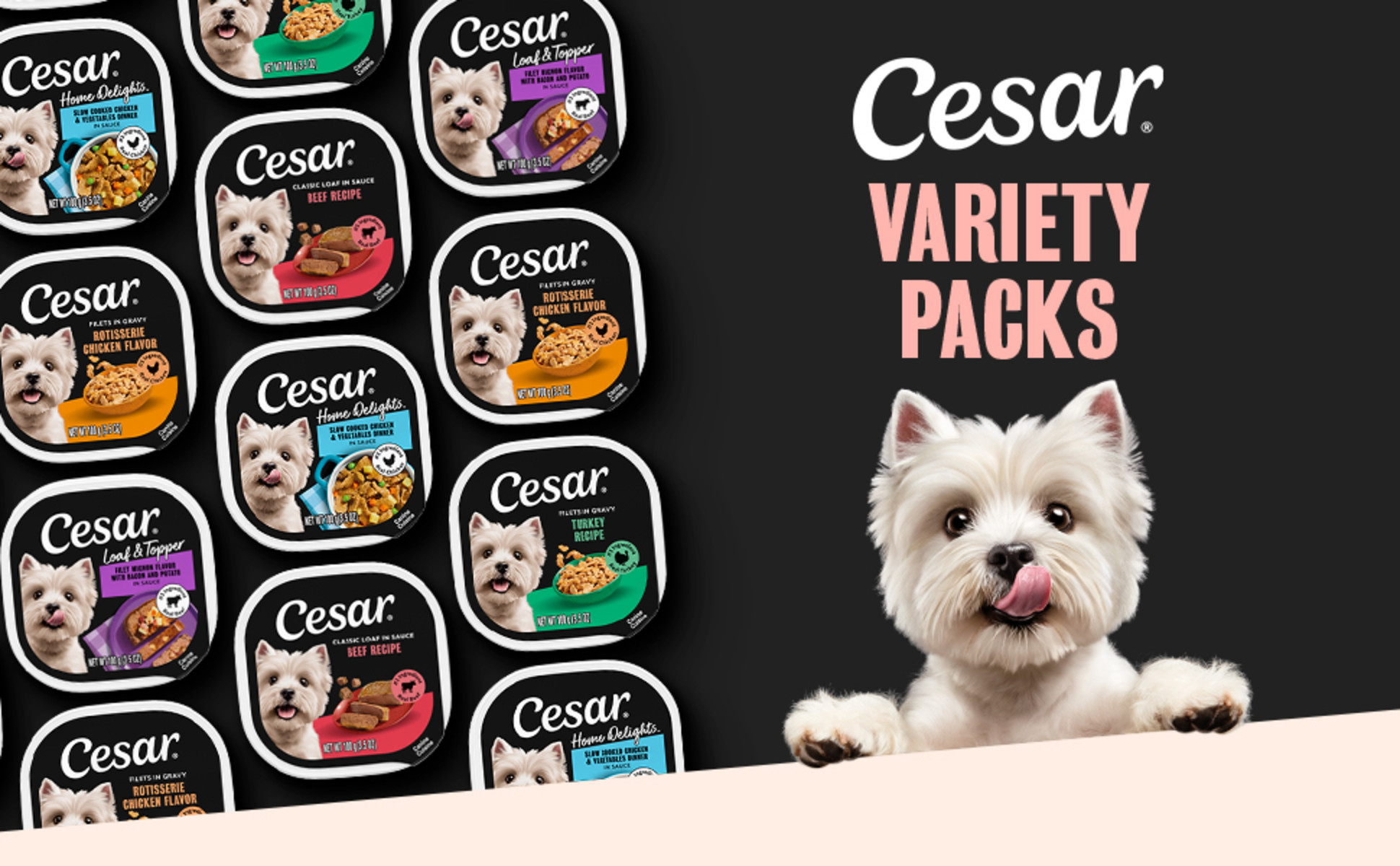 Cesar Steak Lovers Variety Pack with Real Meat Wet Dog Food, 3.5