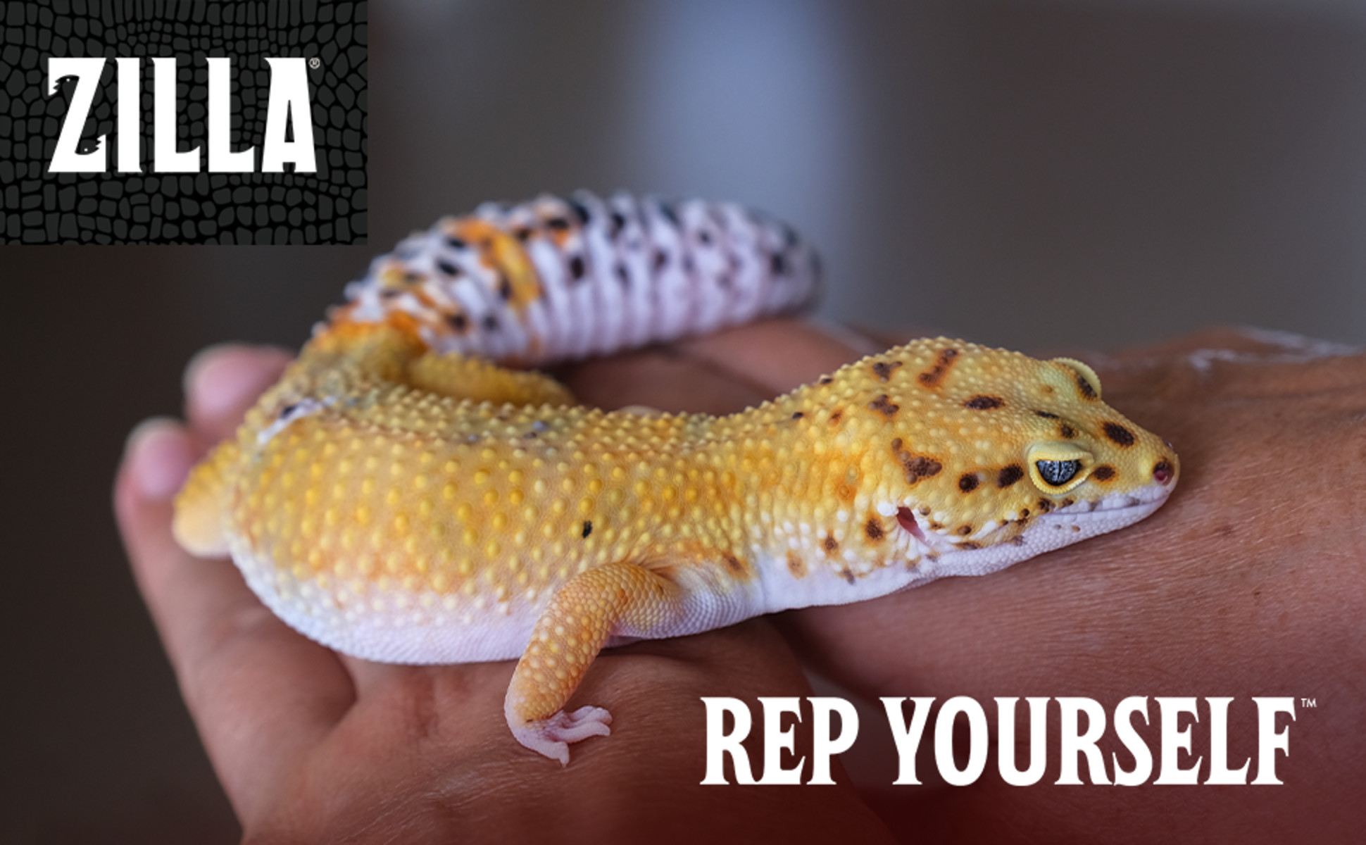 Zilla Brown 10 Gallon Terrarium Liner for Reptiles & Geckos