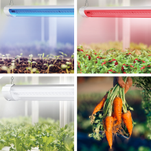 その他 LED Grow Light JB-360EVO 360W Amazon.com : Grow Light FARMLITE LED Grow Lights for Indoor Plants