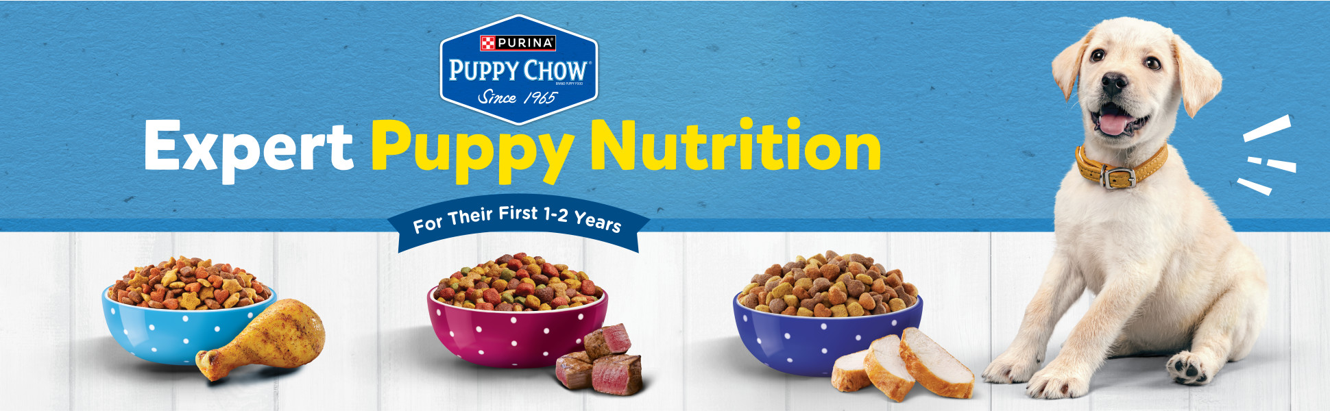 Purina puppy chow hot sale soft and crunchy