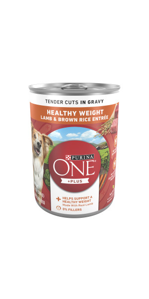 Purina ONE Plus Healthy Weight High Protein Formula, 8 lbs. | Petco