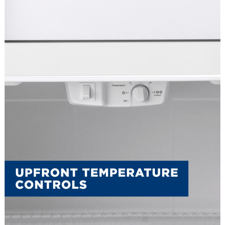 GE 21.9 cu. ft. Top Freezer Refrigerator in White, Garage