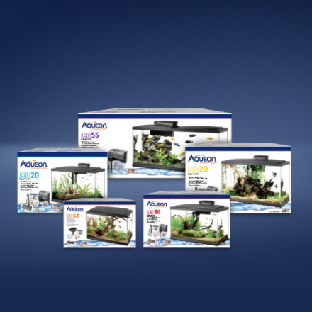 Aqueon LED 29 Gallon Aquarium Kit, 32.25" L X 14.25" W X 20.63" H | Petco Aqueon LED 29 Gallon Aquarium Kit, 32.25" L X 14.25" W X 20.63" H | Petco