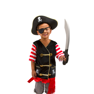 JOYIN 10 Piece Halloween Pirate Costume Accessories, Pirate Cosplay Role  Play Set Decoration for Kids(Hook, Eye Patch, Treasure Box, Necklace,  Sword