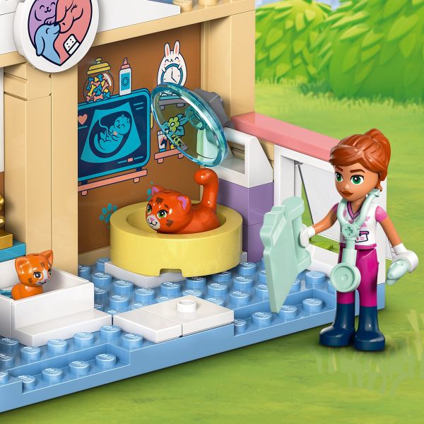 Examine the animals, including the pregnant cat.