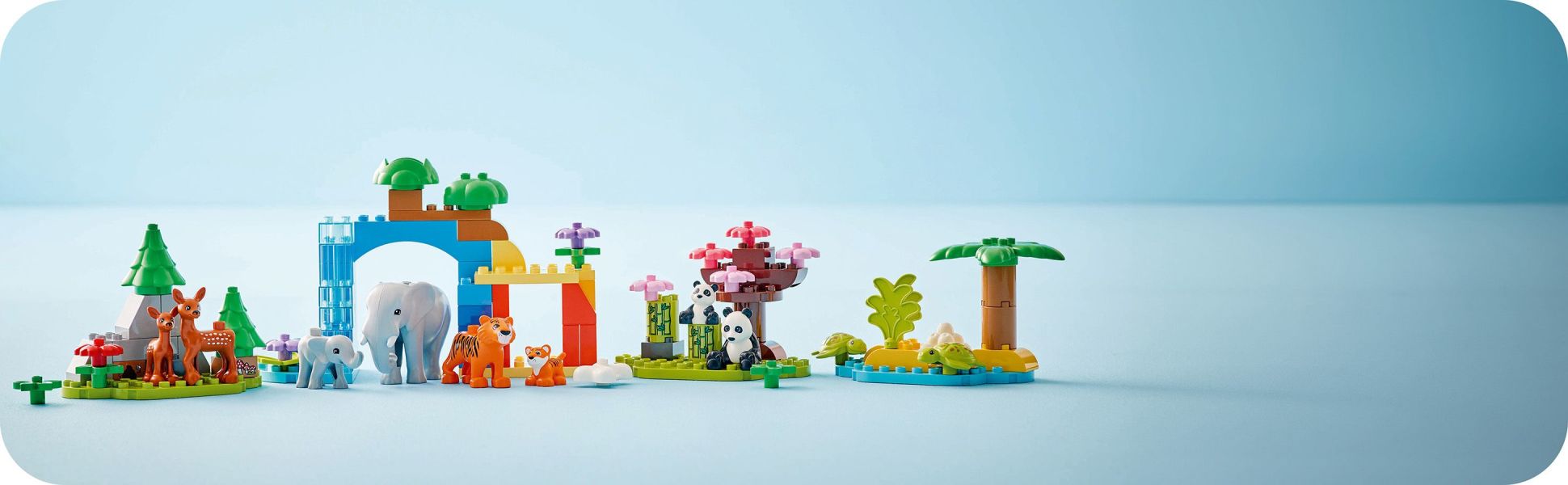 Educational learning toy for little explorers
