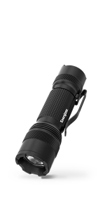 TAC 300