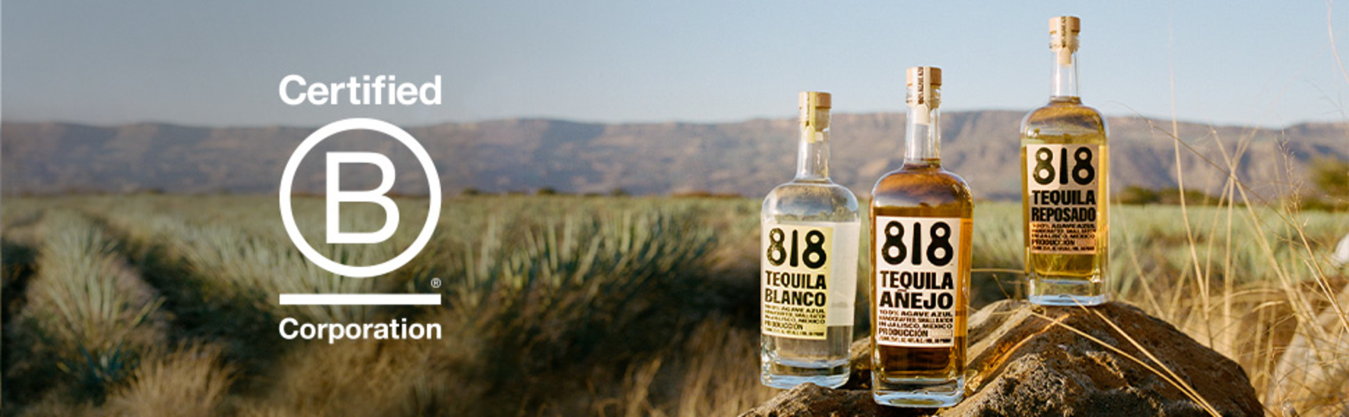 818 Blanco Tequila, 750 ml Bottle, ABV 40.00% - Walmart.com