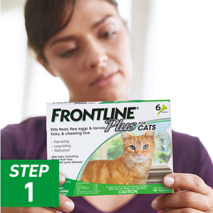 Frontline Plus Flea and Tick Prevention for Cats Over 1.5 lbs 6 Monthly Treatments Walmart