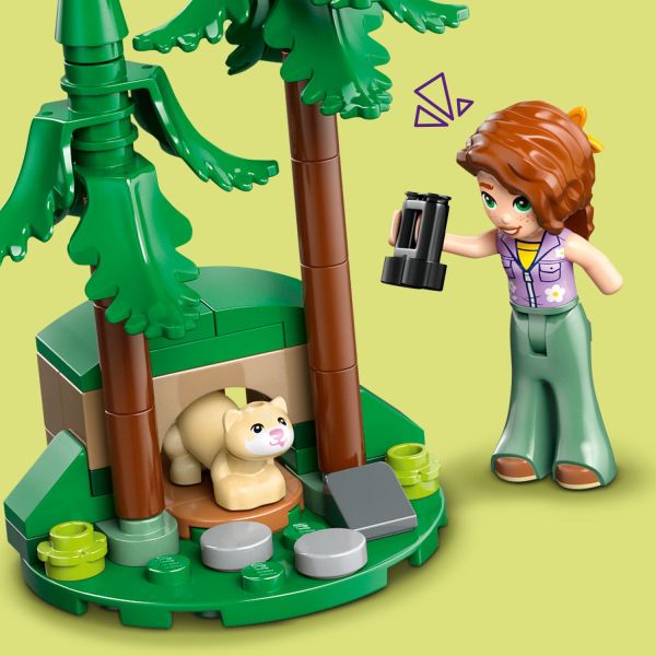 Help the characters search for the woodland ferret.