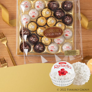 Ferrero Collection 48 Count Gourmet Assorted Hazelnut, Dark Chocolate &  Coconut Chocolates, Holiday Gift Box, 18.2 Oz