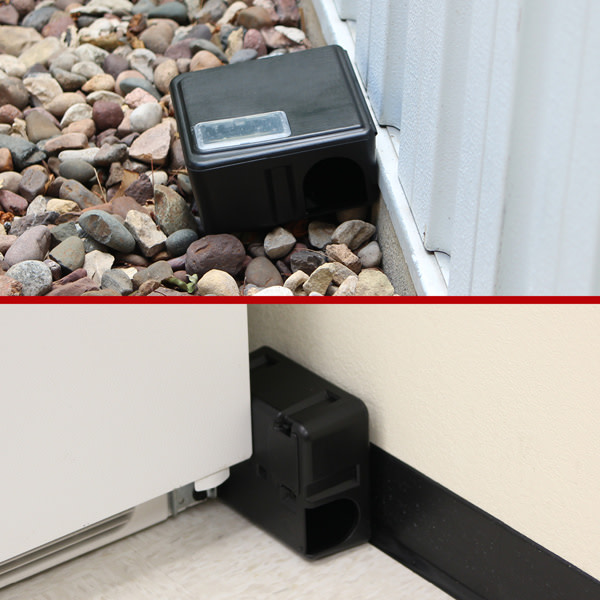 Use Indoors & Outdoors
