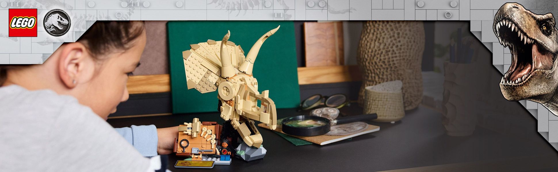 Treat a fan of paleontological adventures, dinosaurs or LEGO building to this detailed Triceratops skull display fossil.