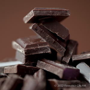 Ferrero Rocher Rondnoir Pralines au chocolat noir 138 g 4,86 oz