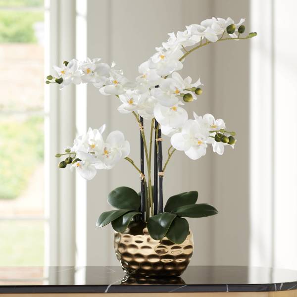 Dahlia Studios White Phalaenopsis 23 H Faux Orchid in Gold Ceramic Pot