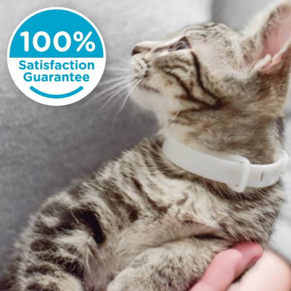 Petco calming collar best sale