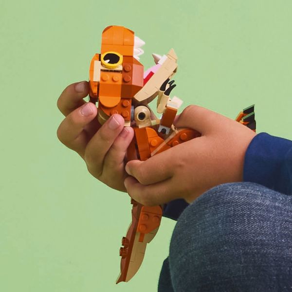 Movable head, arms, tail and legs to pose in different ways.