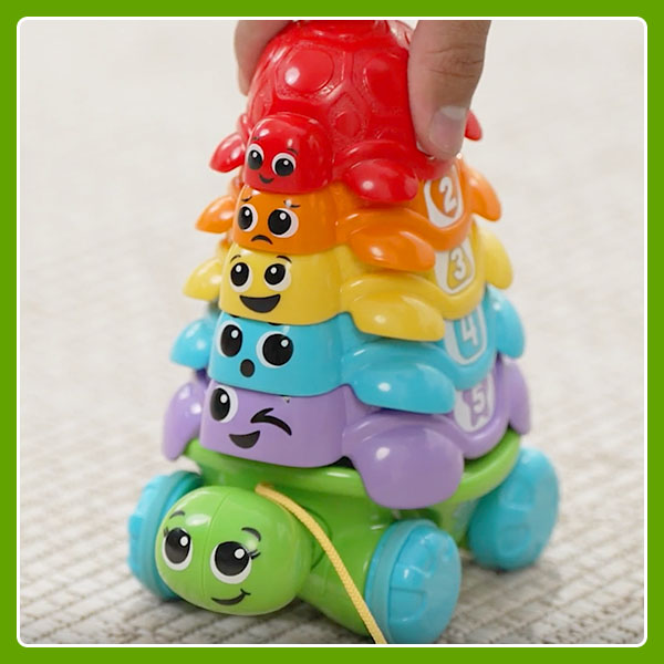 Close up of cute and diverse turtle colors, faces and expressions.