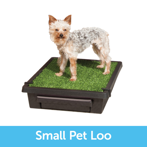 Pet Loo Indoor Yard Training System for Dogs, Large Petco