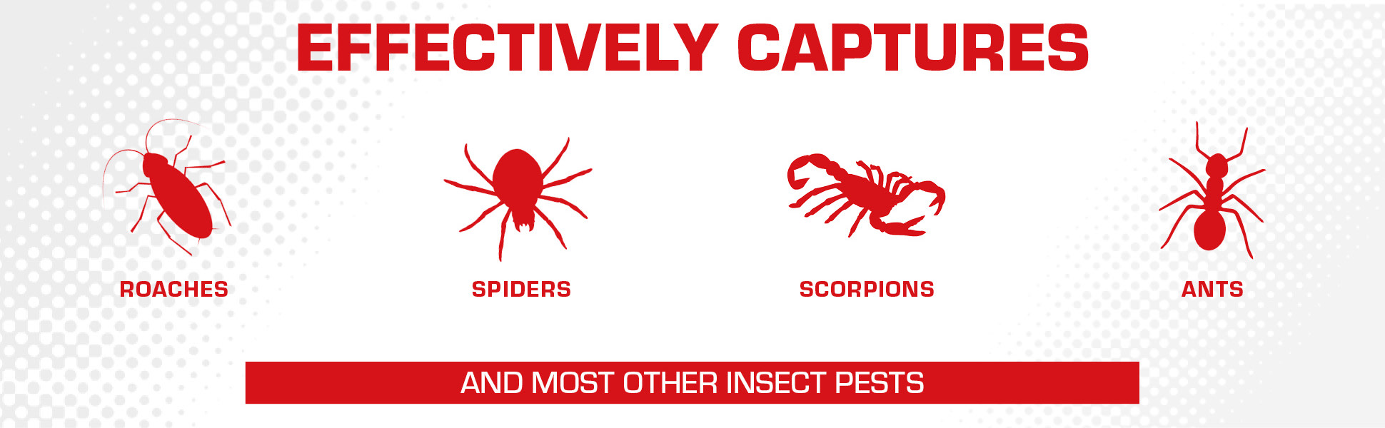 Effectively Captures Roaches, Spiders, Scorpions, Ants and Most Other Insect Pests