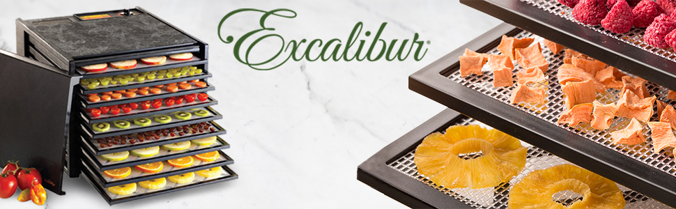 Excalibur 3900, Living Foods Dehydrator