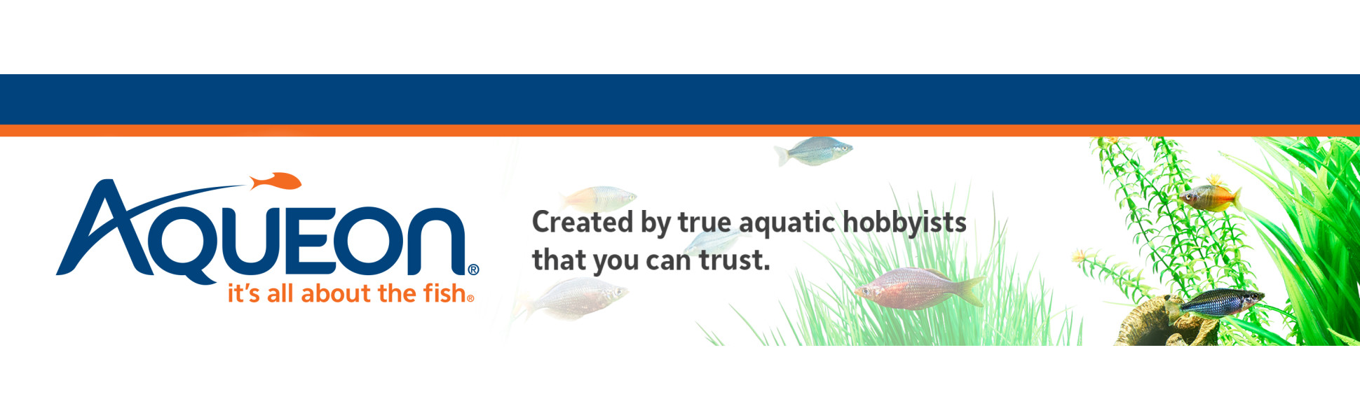 AQUA ONE GOLDFISH FLAKES 24G ~ Aggies Aquarium