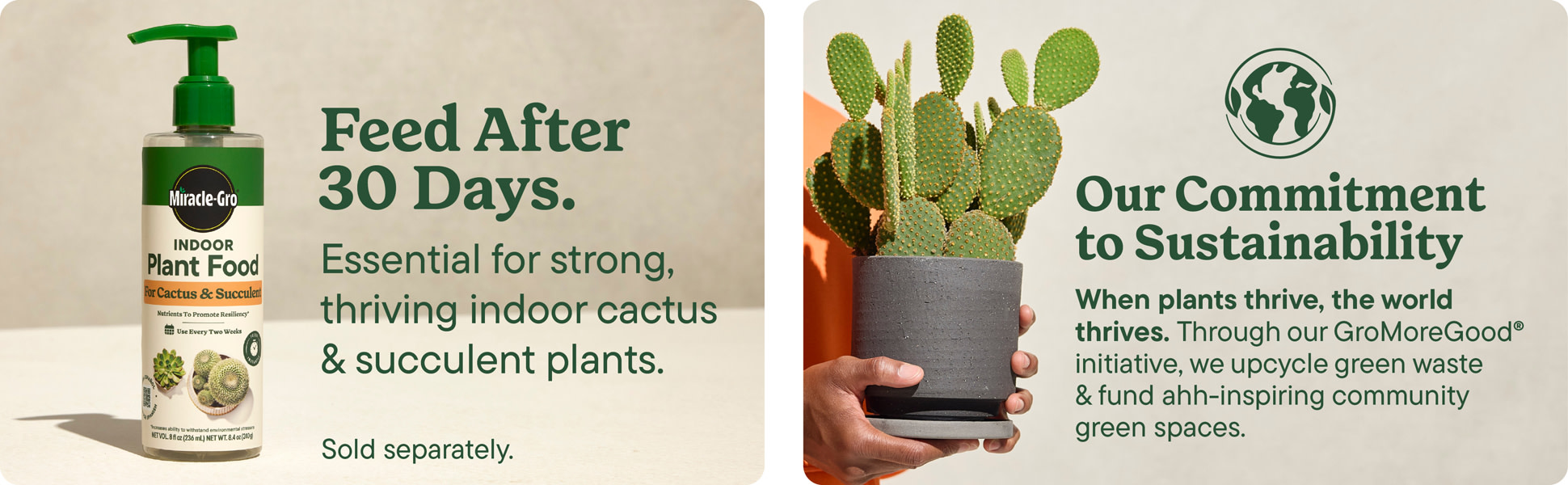 Miracle-Gro Indoor Potting Mix for Cactus and Succulent 8 qt. Fast-Draining  Cactus and Succulent Potting Soil with Plant Food 73078434 - The Home Depot