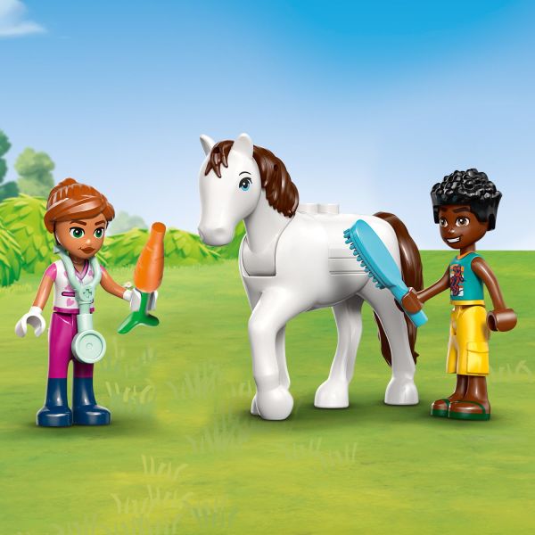 Care for the horse with the food and grooming accessories.