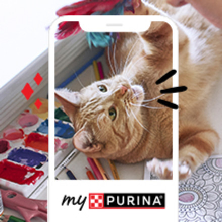 A playful cat rolls on their back amidst crafting supplies, while playing with a toy.