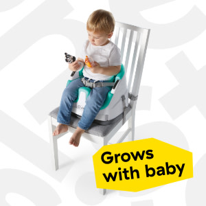 Baby einstein online chair