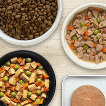 Delicious cat food in a variety of flavors, textures and life stages