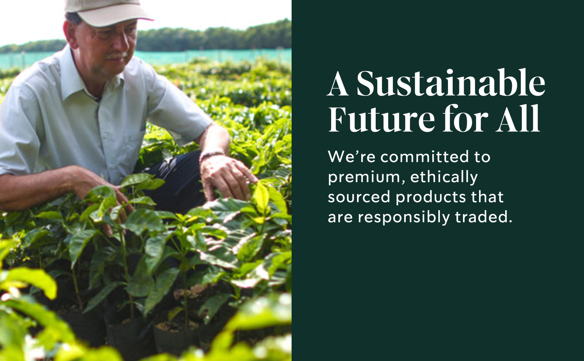A coffee farmer. We're committed to premium, ethically sourced products that are responsibly traded.	