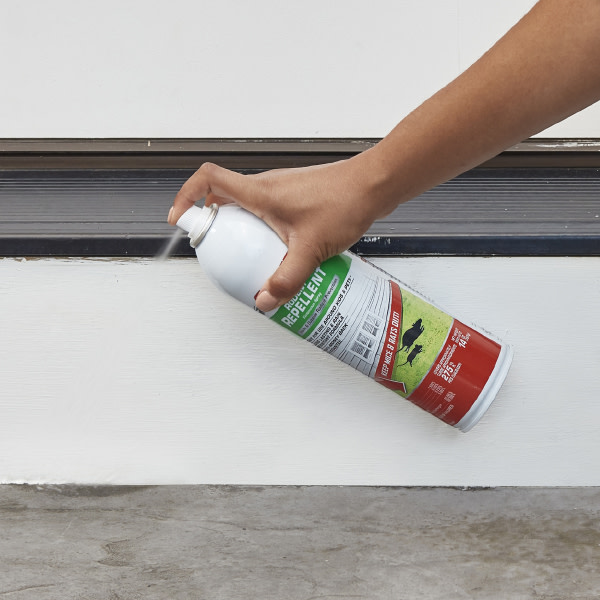 Close-up of person spraying product along door threshold
