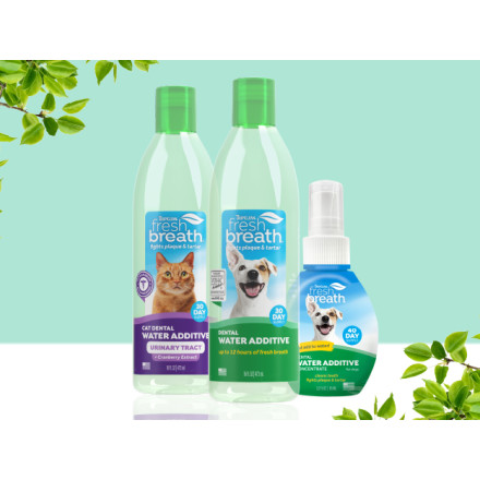 TropiClean Fresh Breath Dental Solution for Cats, 16 Petco