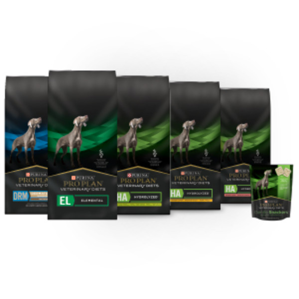 Dry dog food formulated for success for dogs with specific food sensitivities or dermatologic issues