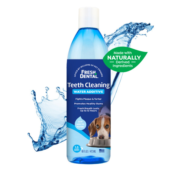 Mouthwash for clearance dogs walmart