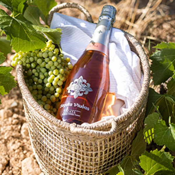 Segura Viudas Reserva Brut Cava 750 mL