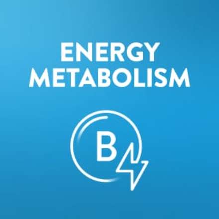 Ensure Original shakes with nutrients to support energy metabolism.