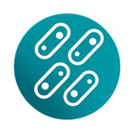 ICON SHOWING GUT MICROBIOME