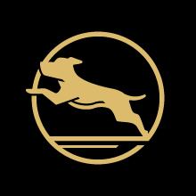Icon of leaping dog