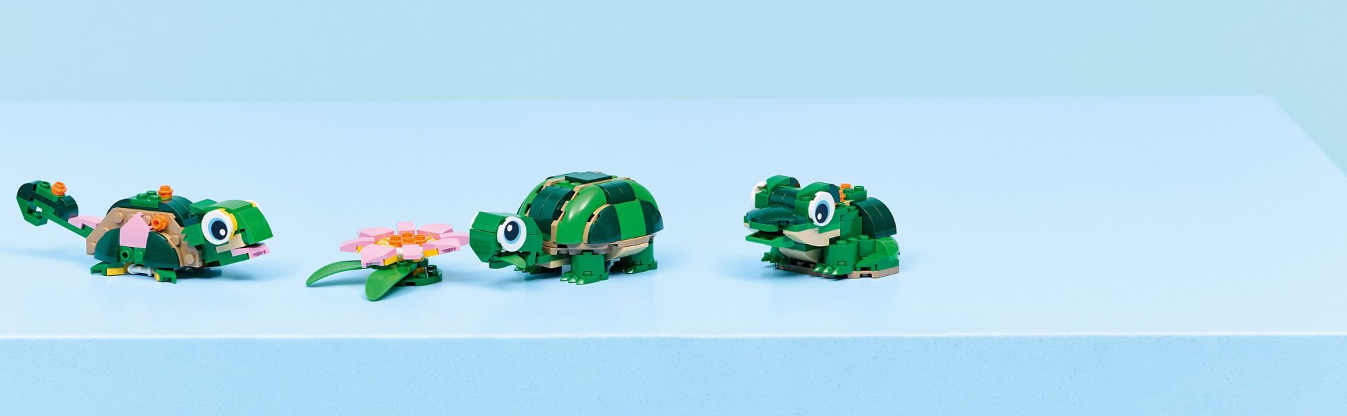 A great treat for animal fans
