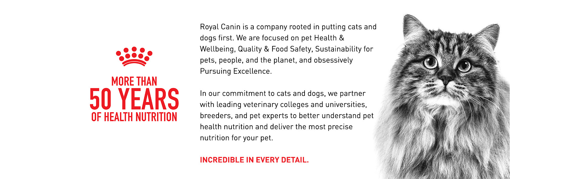 Royal Canin Bengal Breed Adult Dry Cat Food, 7 lbs. | Petco
