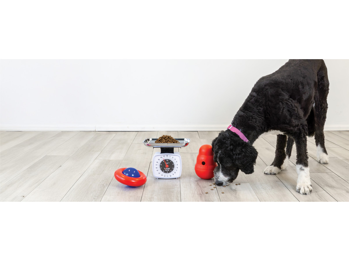 KONG Licks Dog Toy, Small | Petco