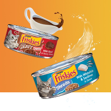 Friskies wet cat food cans with gravy