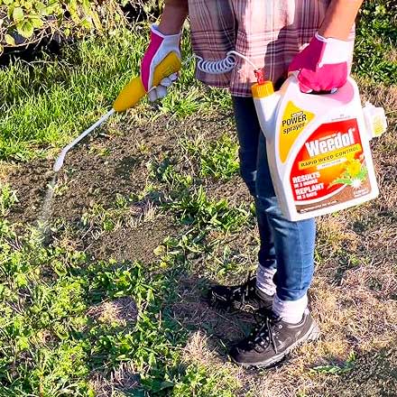 Weedol Rapid Power Sprayer in use