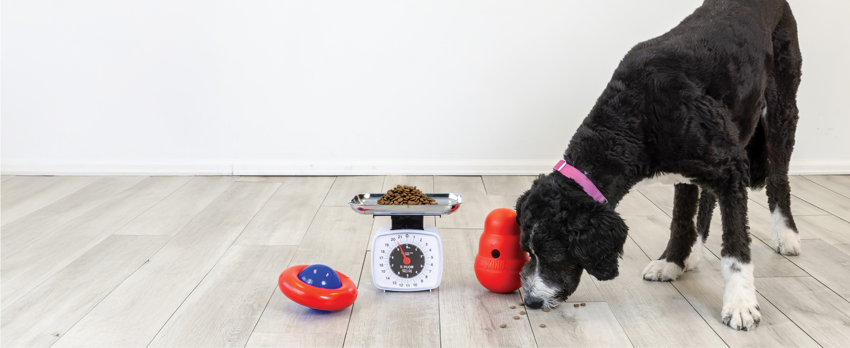 bella dog bowl mat Fable | Chic & Clean Dog Bowl Mat — Signature Bowl Mat